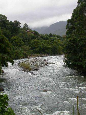 Orosi River Valley景点图片