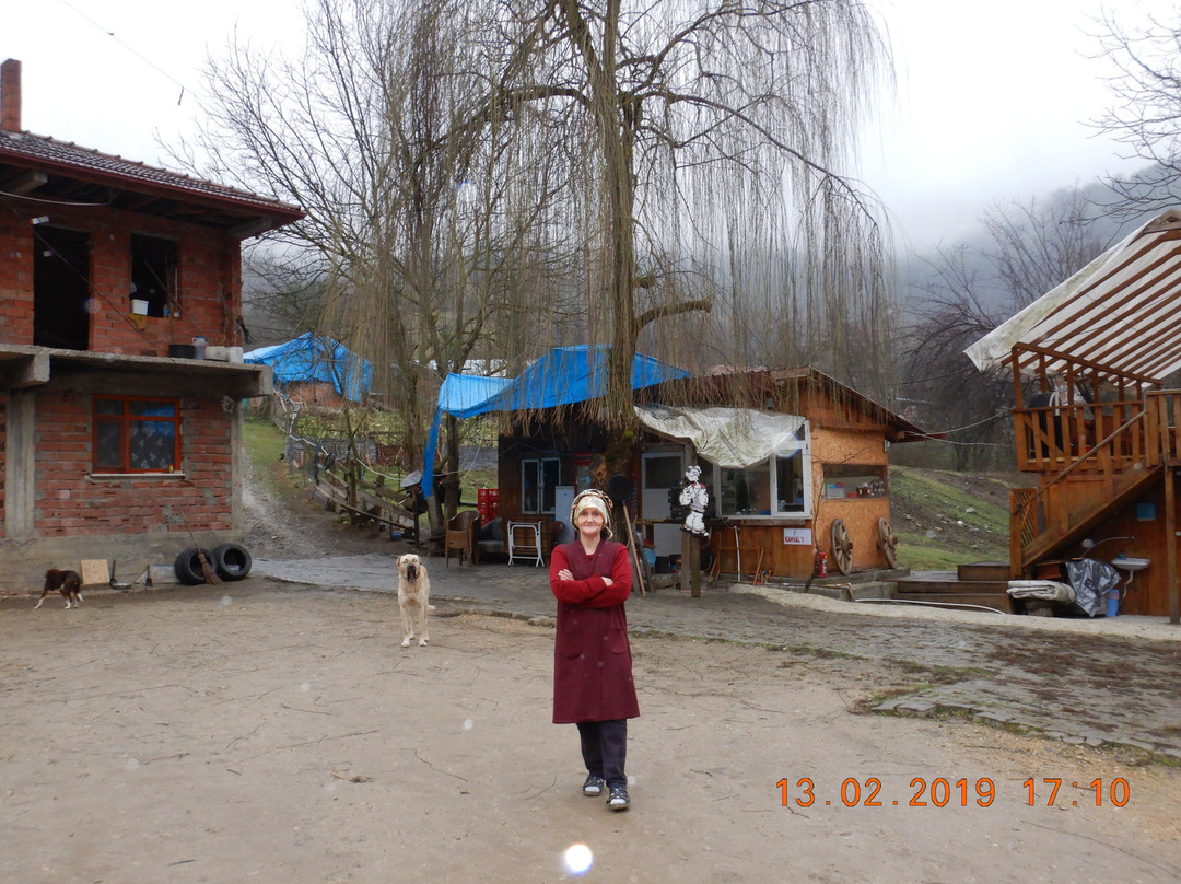 Karabuk旅游攻略图片