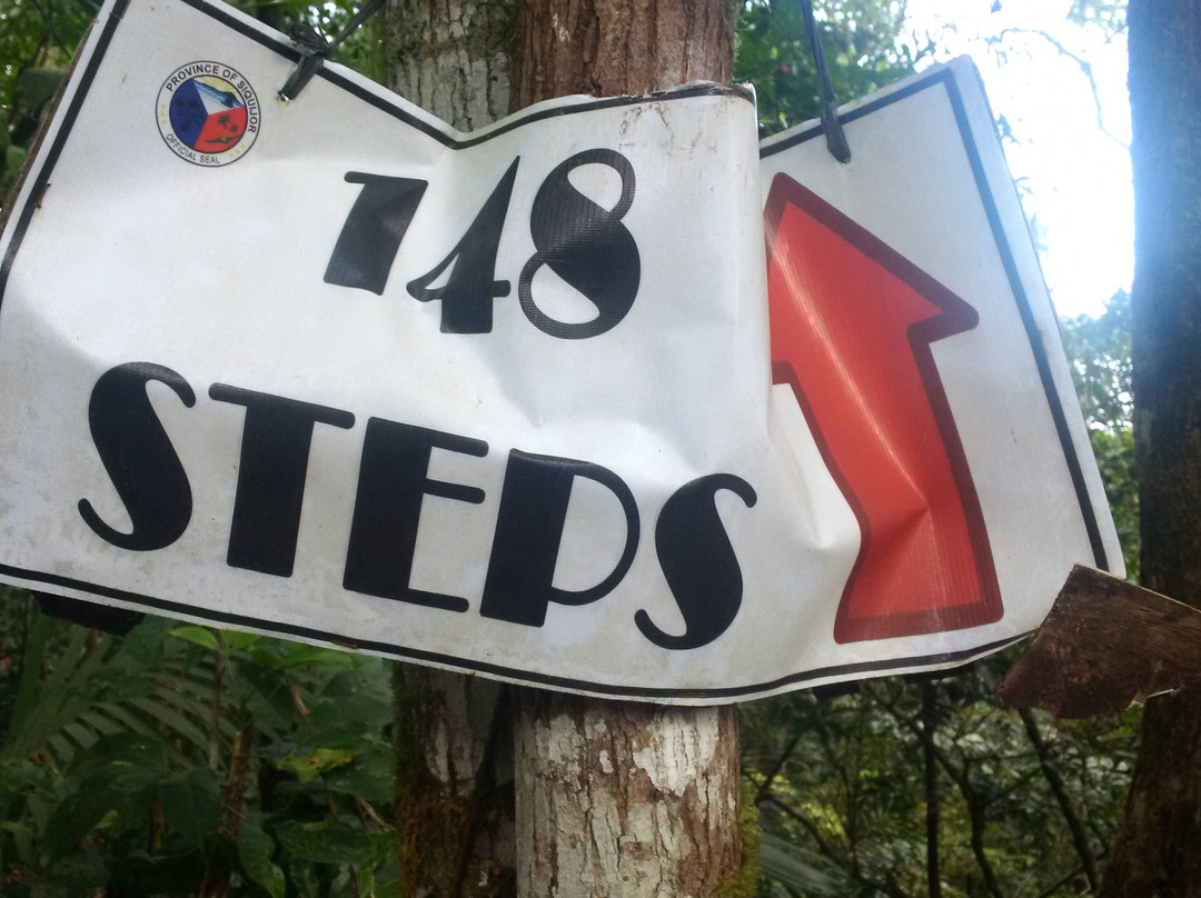 Mt. Bandilaan National Park-锡基霍尔岛必去景点