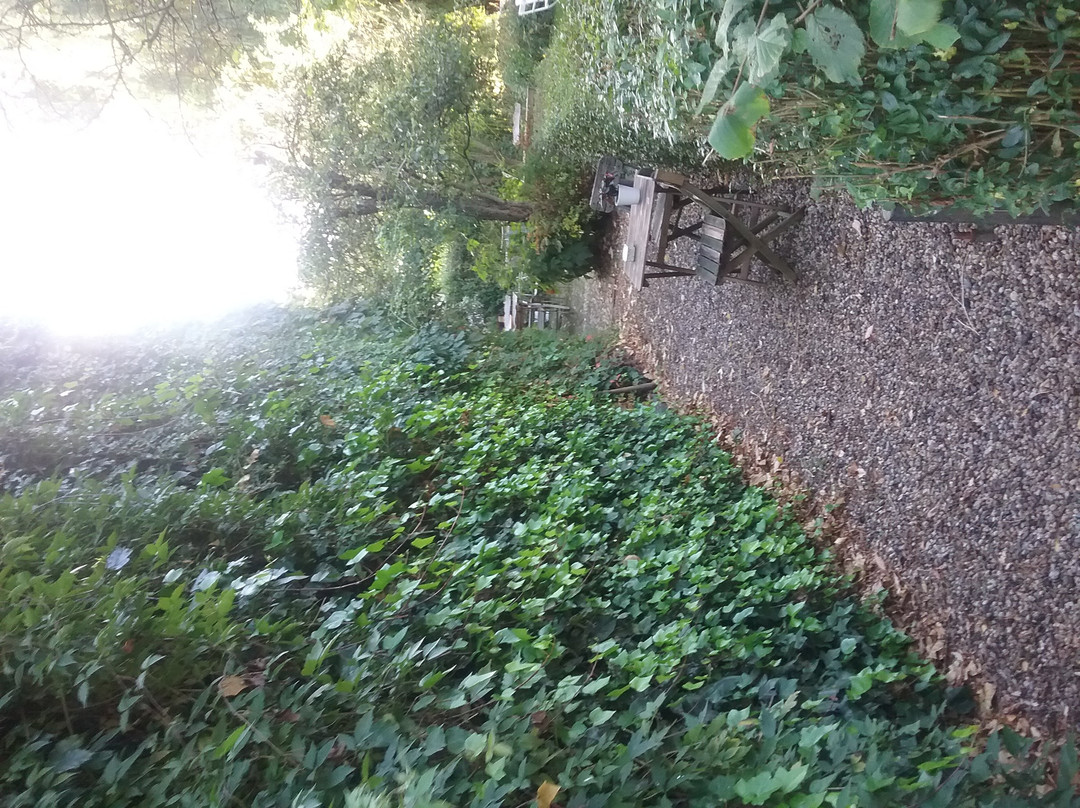 Gaestezimmer Schmidthausen