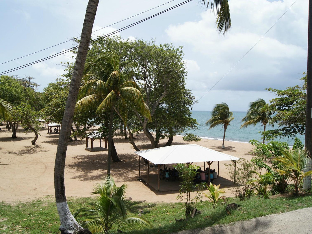 Plessis Nogent餐馆和美食-Terrasse des Amandiers