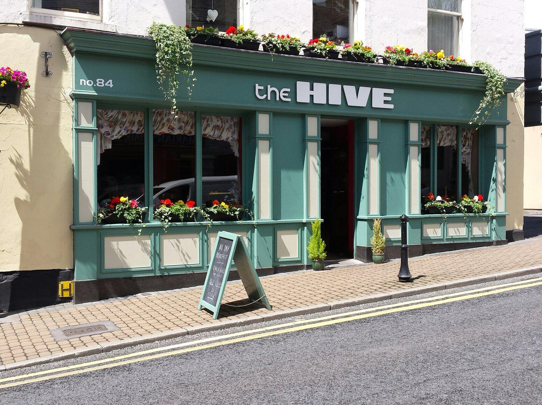 Monaghan餐馆和美食-The Hive