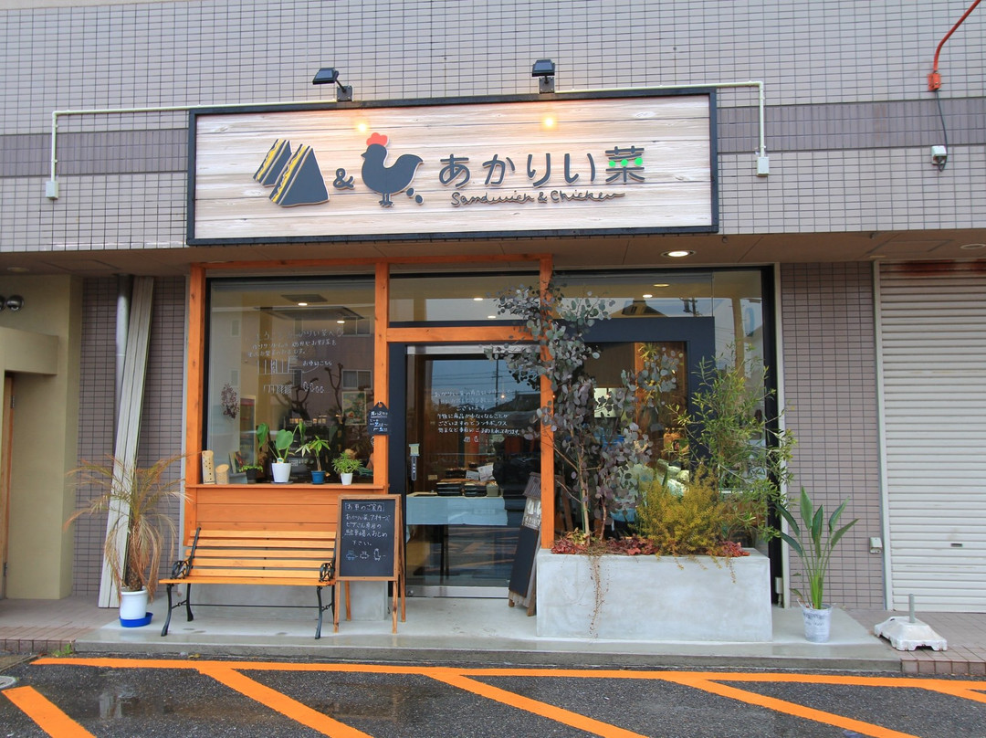 あかりい菜