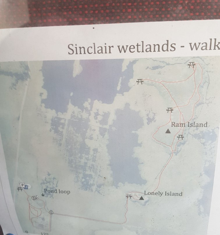 Sinclair Wetlands景点图片