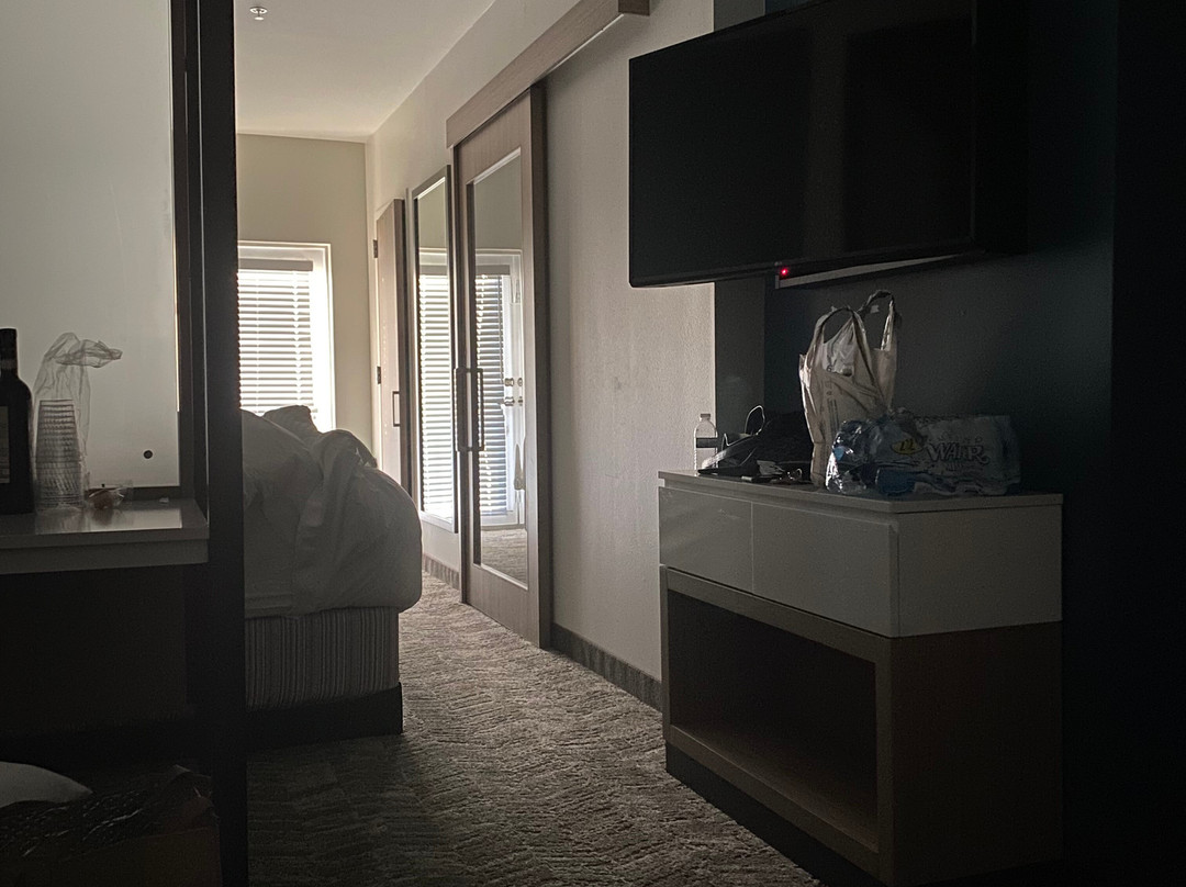 艾米利亚岛万豪SpringHill Suites酒店