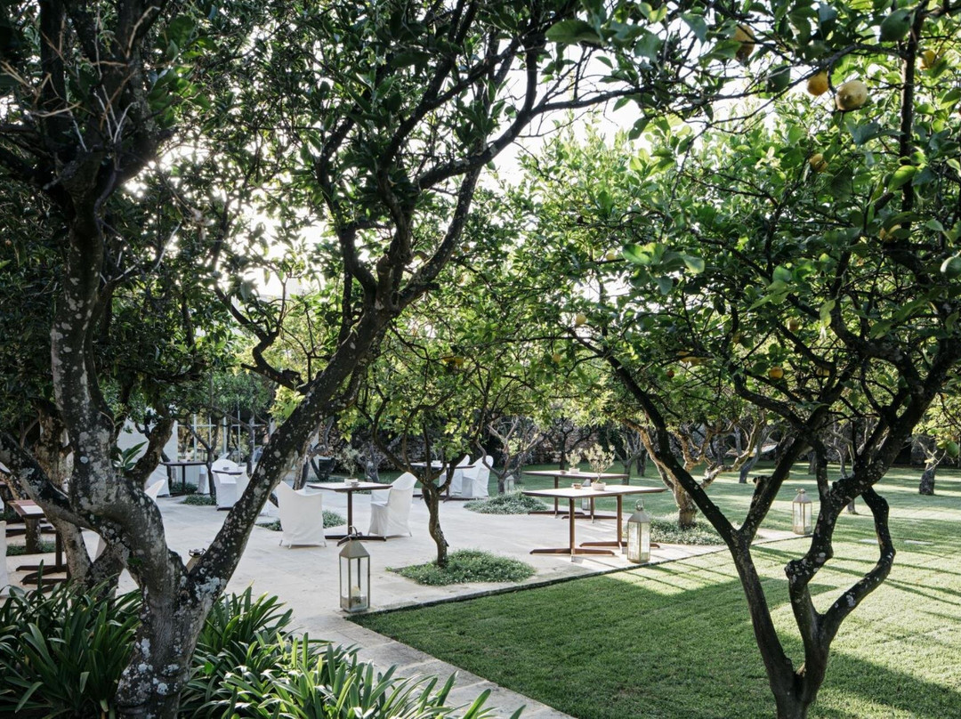 Masseria Trapana主图