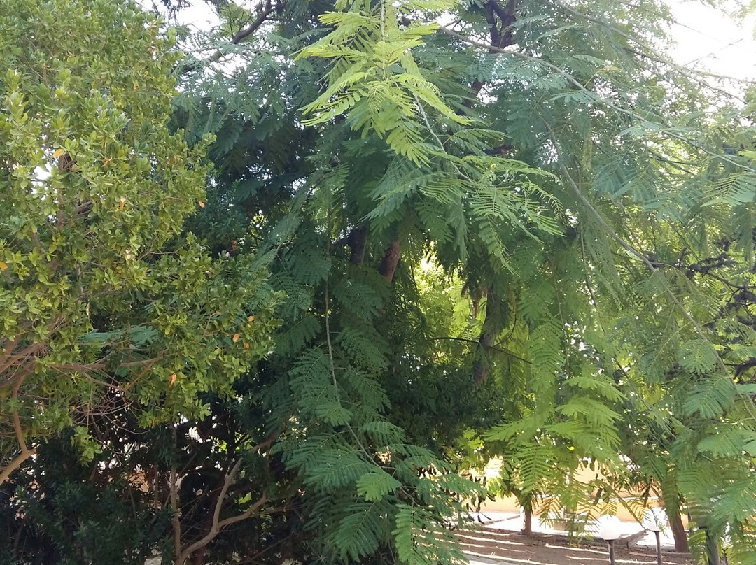 巴之歌家庭旅馆
