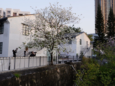 饶宗颐文化馆-香港必去景点