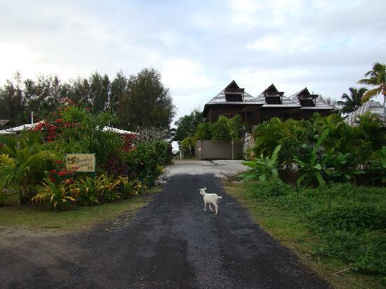 Dorothy's Muri Beach Bungalows