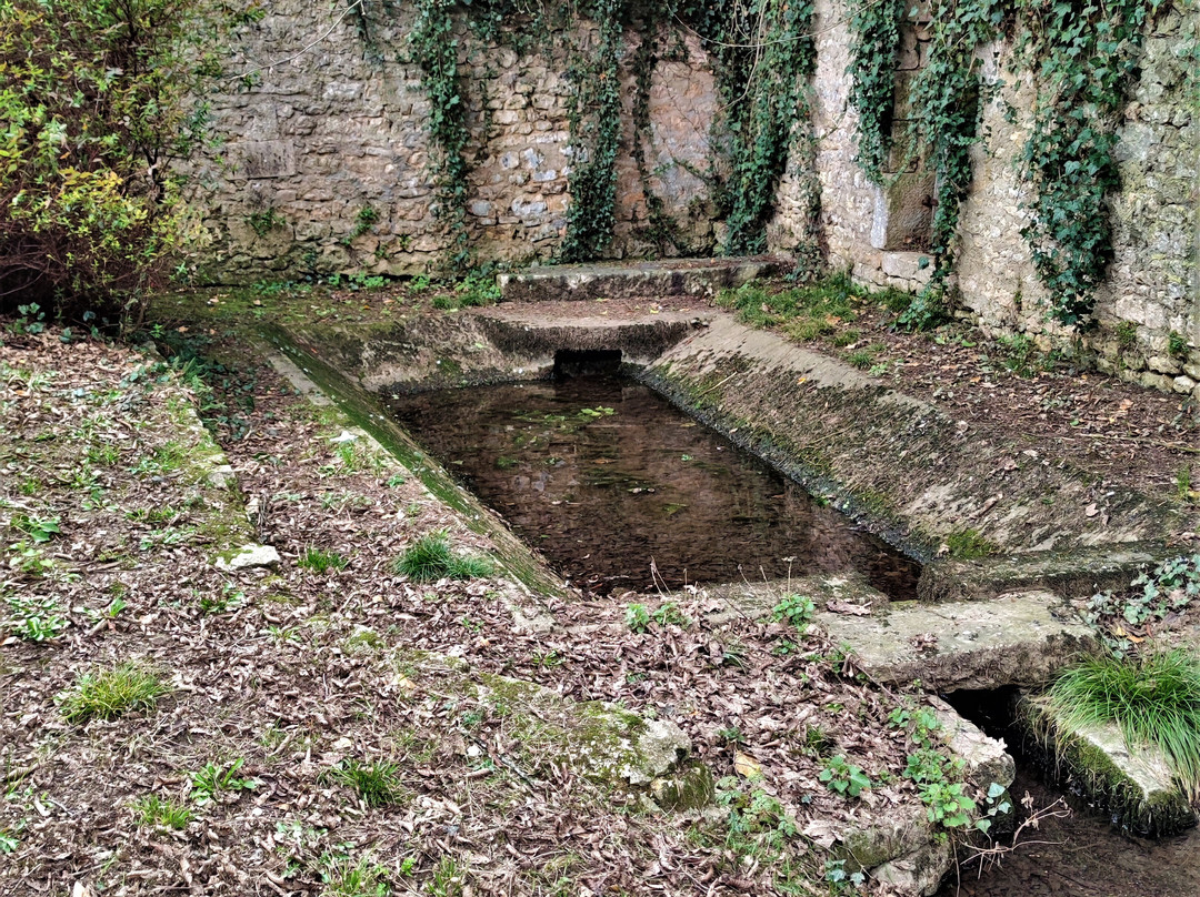 Pont de Savigné-Savigne必去景点
