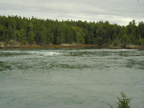 Reversing Falls Park-Pembroke必去景点