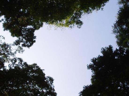 Corbett Falls景点图片