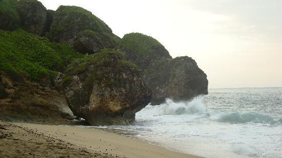Tropical Trail Rides - Isabela-Isabela必去景点