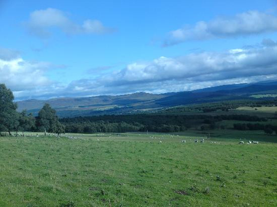 Cairngorms Activities景点图片