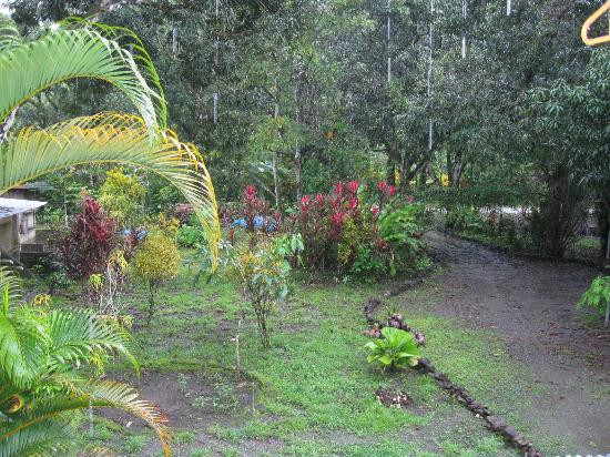 Arenal Volcano riding tour景点图片
