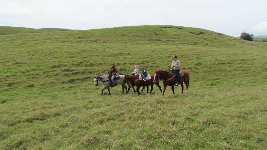 鲁达罗大农场-威可洛亚必去景点