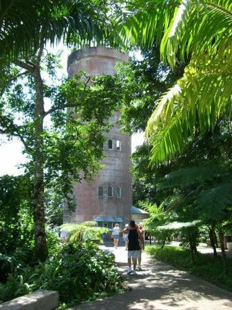 El Toro Peak-云盖国家森林公园必去景点