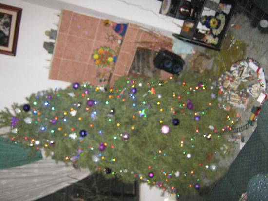 Oaxaca International-瓦哈卡必去景点