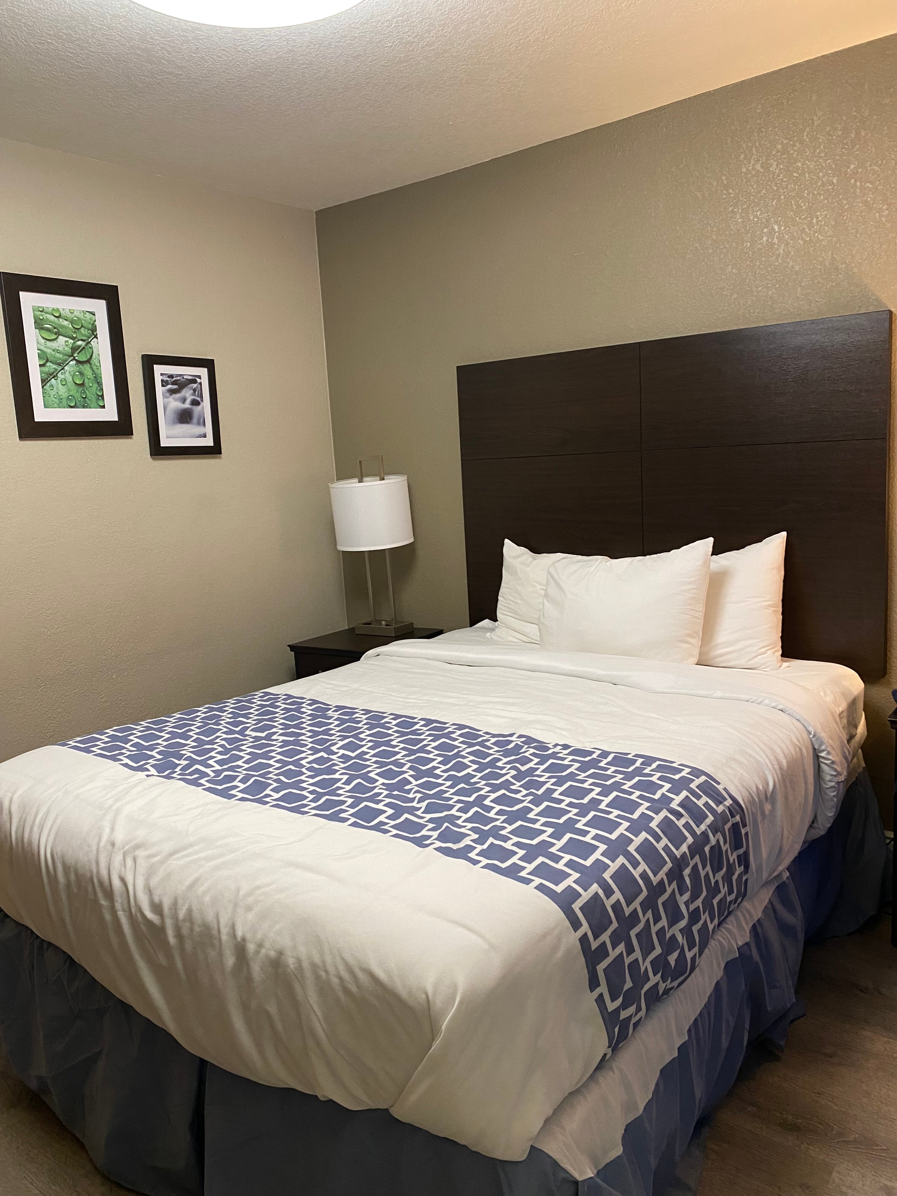 Quality Inn-客卧