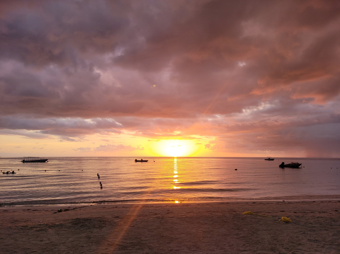 Negril Tree House Resort主图