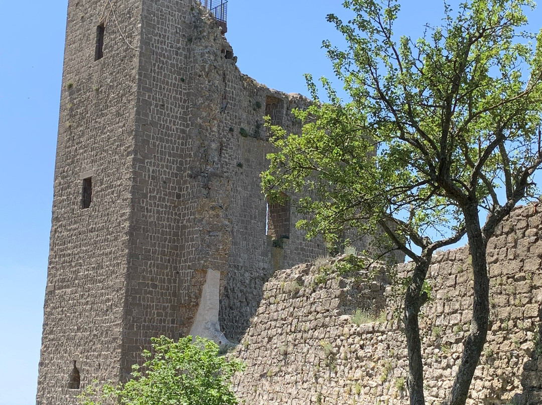 Rocca dei Papi景点图片