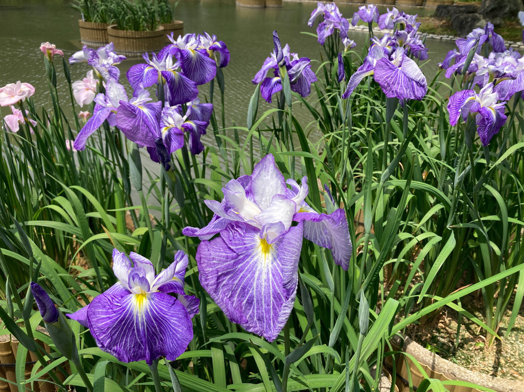 Furusato Center Ybox-玉名市必去景点