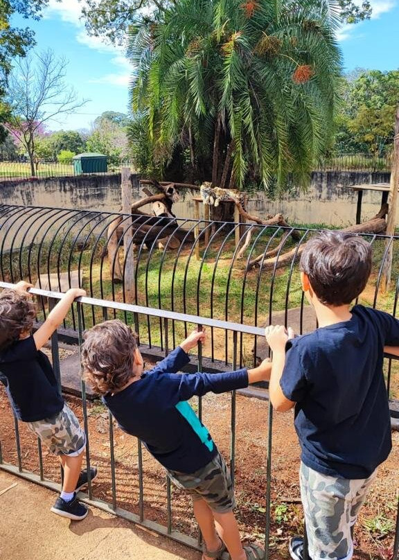Jardim Zoológico De Brasília-巴西利亚必去景点