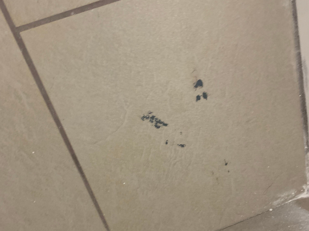 Country Inn & Suites by Radisson, Chicago O'Hare South, IL主图