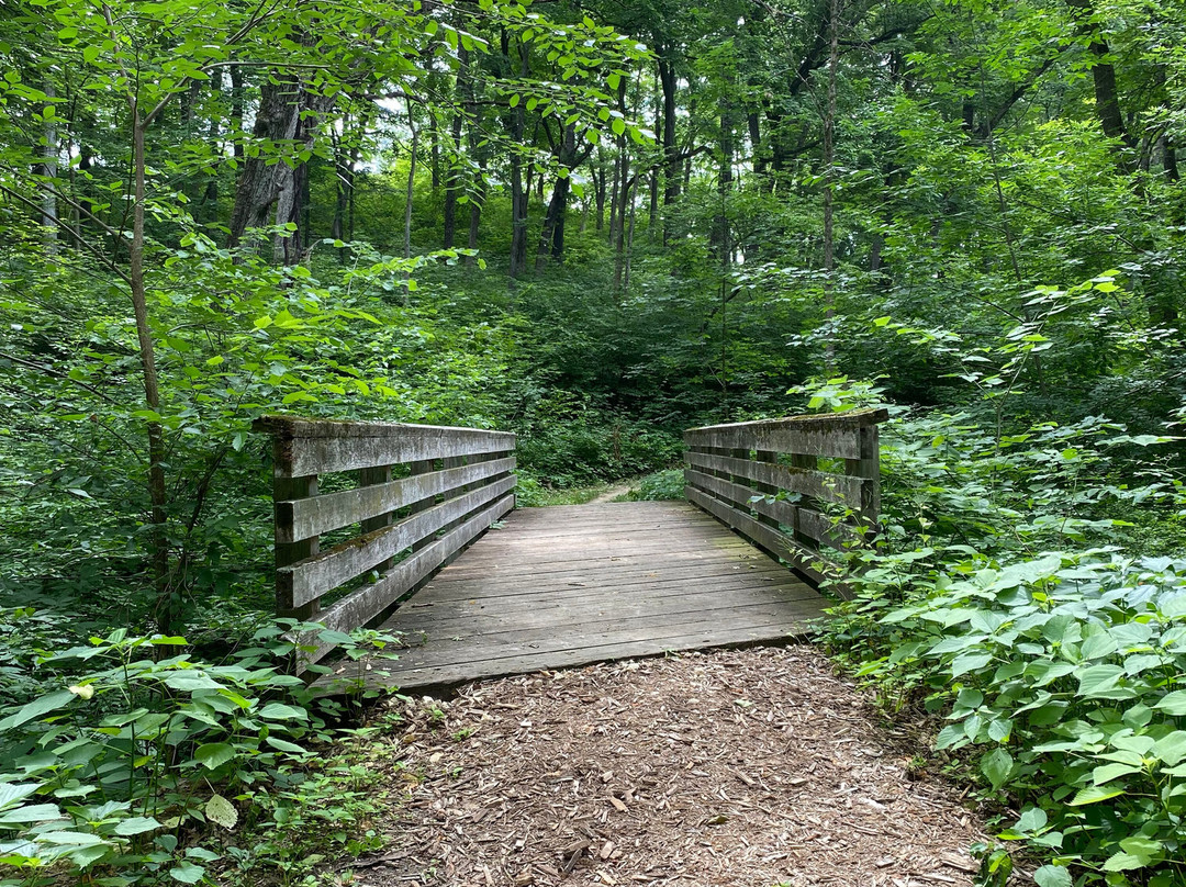 Effigy Mounds National Monument景点图片
