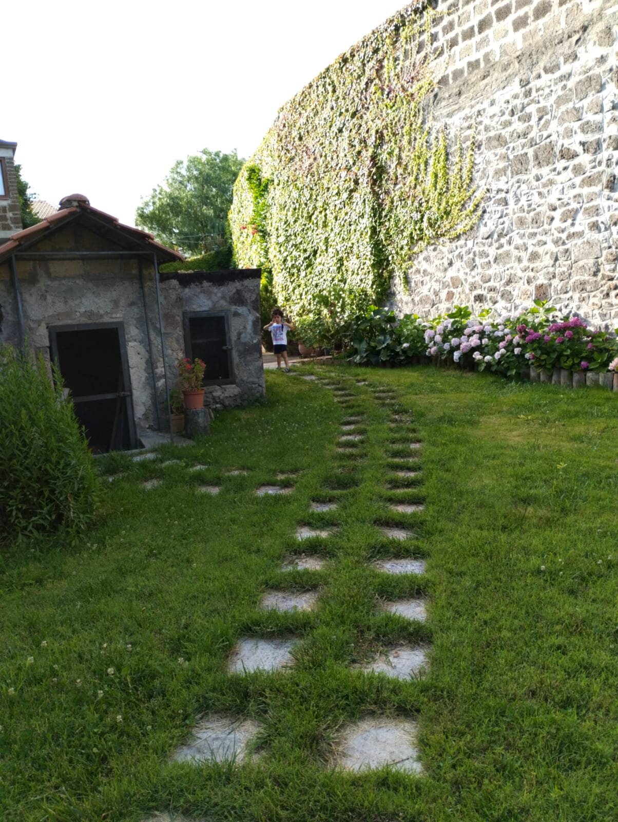 Conte Spencer-官方