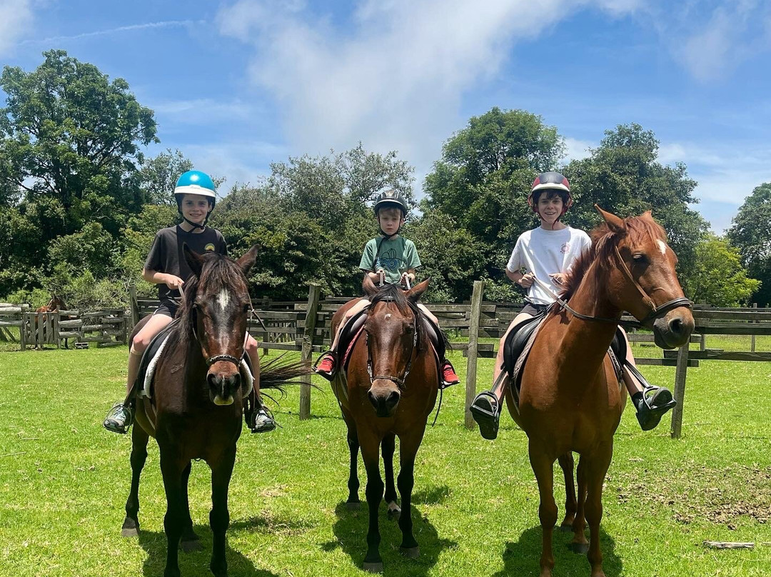 El Rancho Evergreen Guest Ranch-圣克里斯托瓦尔-德拉斯卡萨斯必去景点