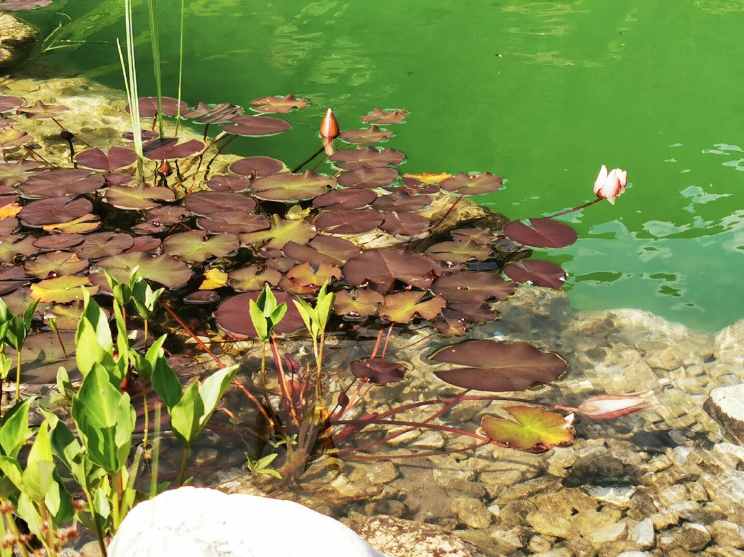 NationalPark Hotel Klockerhaus主图