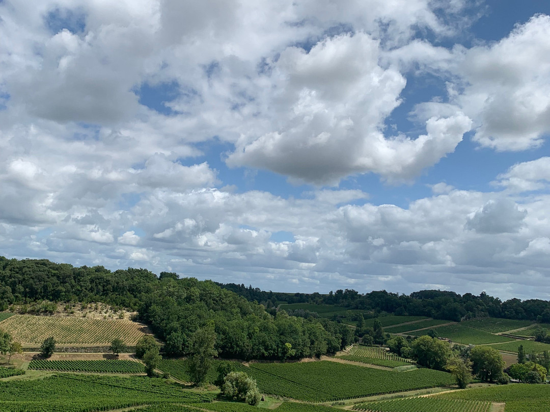 Château La Croizille景点图片
