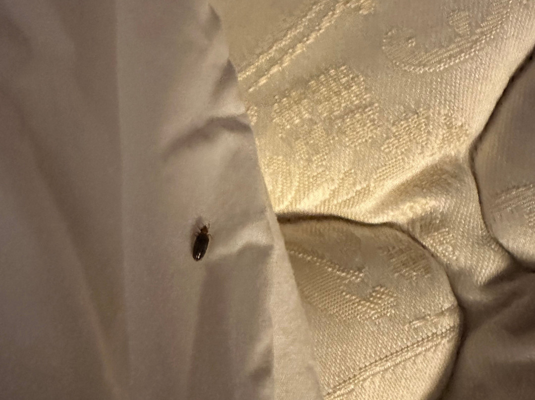 Hotel Topeka at City Center主图