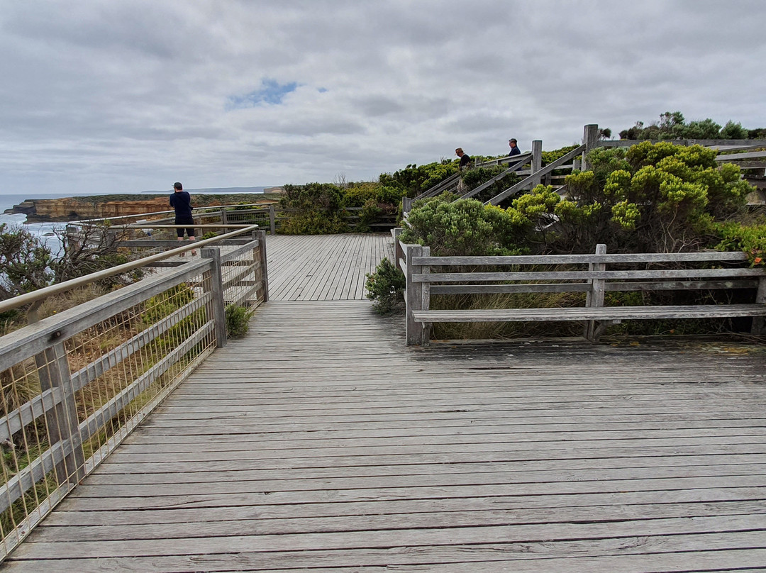 Mutton Bird Lookout-坎贝尔港必去景点