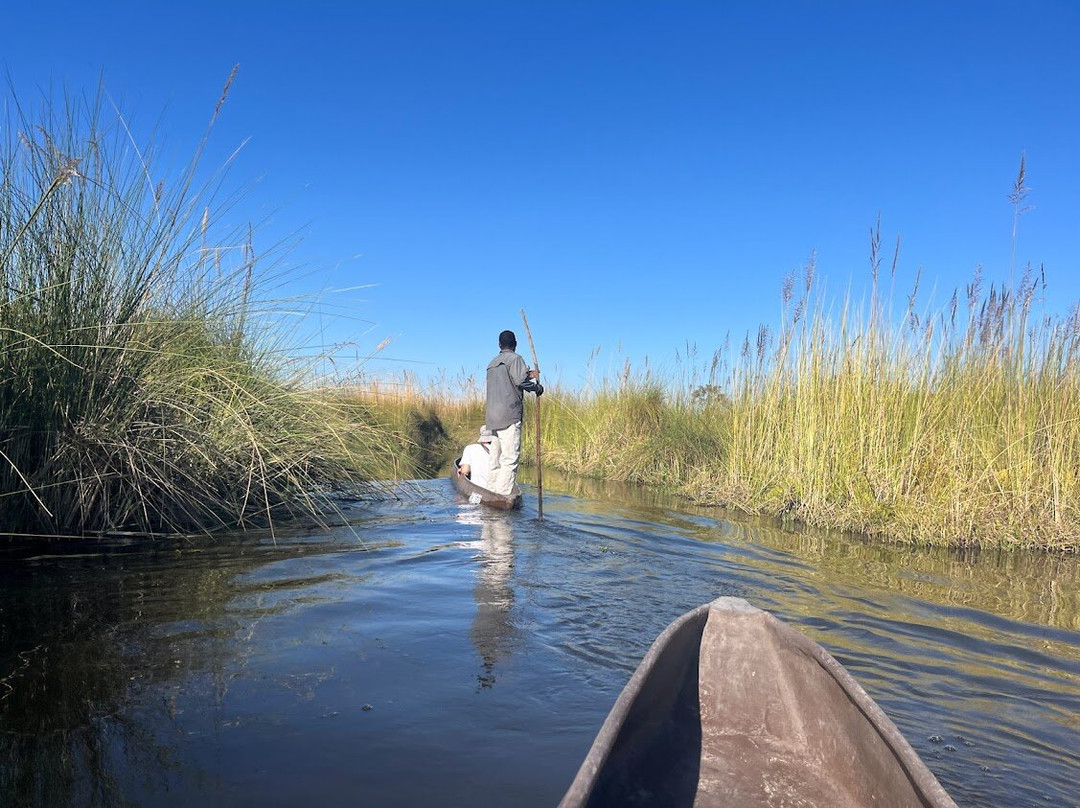 Okavango Houseboats景点图片