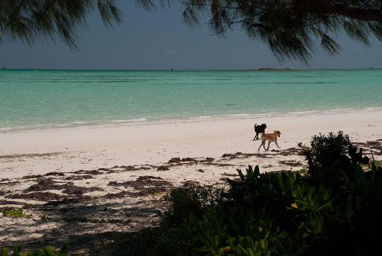 Andros Diving-Kemps Bay必去景点