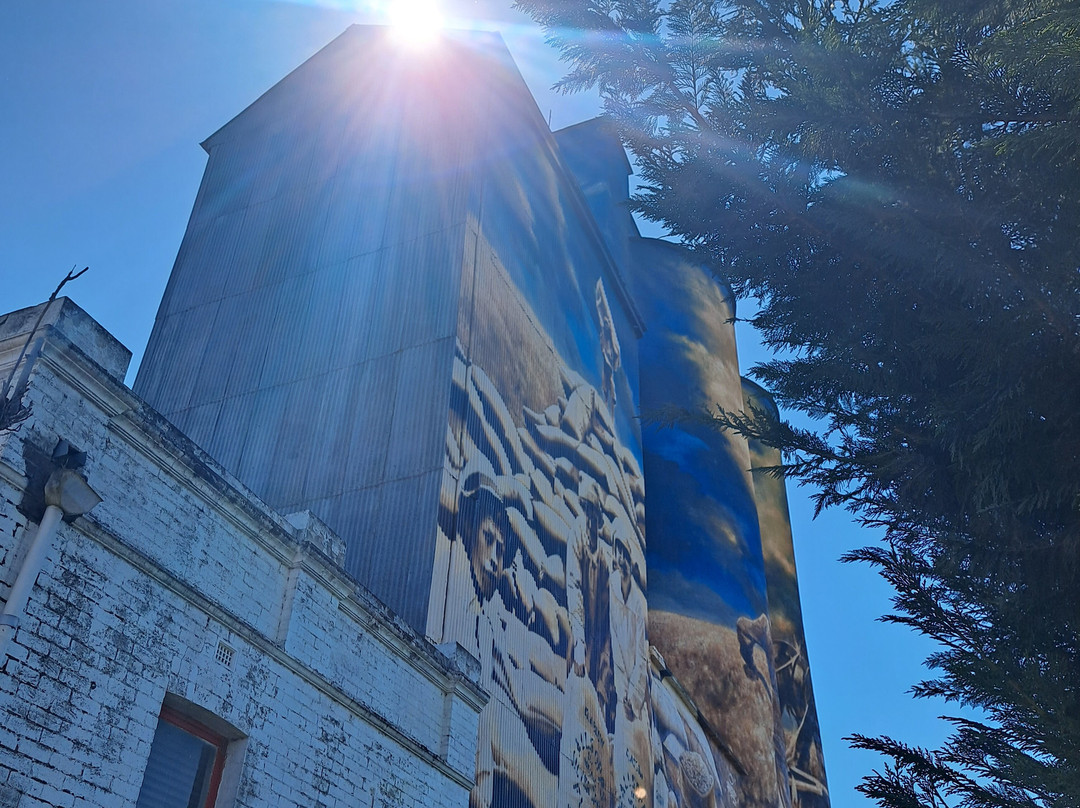 Harden Murrumburrah Silo Art By Heesco-Harden-Murrumburrah必去景点