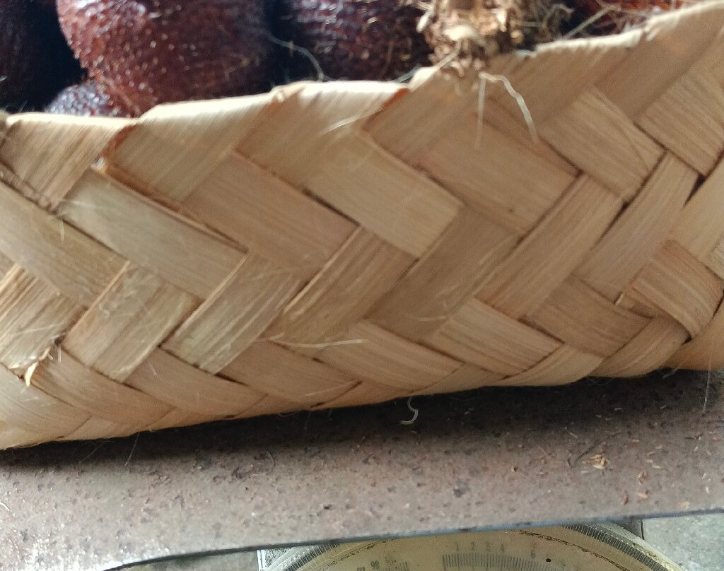 De Kebun Merta Sari