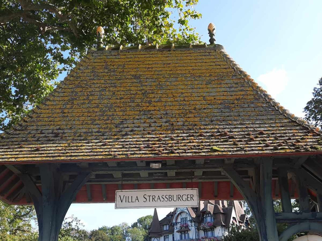 Villa Strassburger-多维尔必去景点