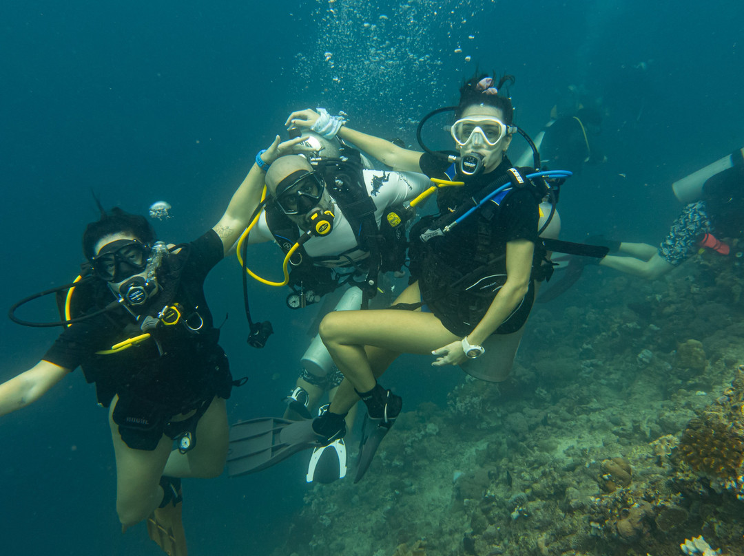 Fins & Flash-吉达必去景点