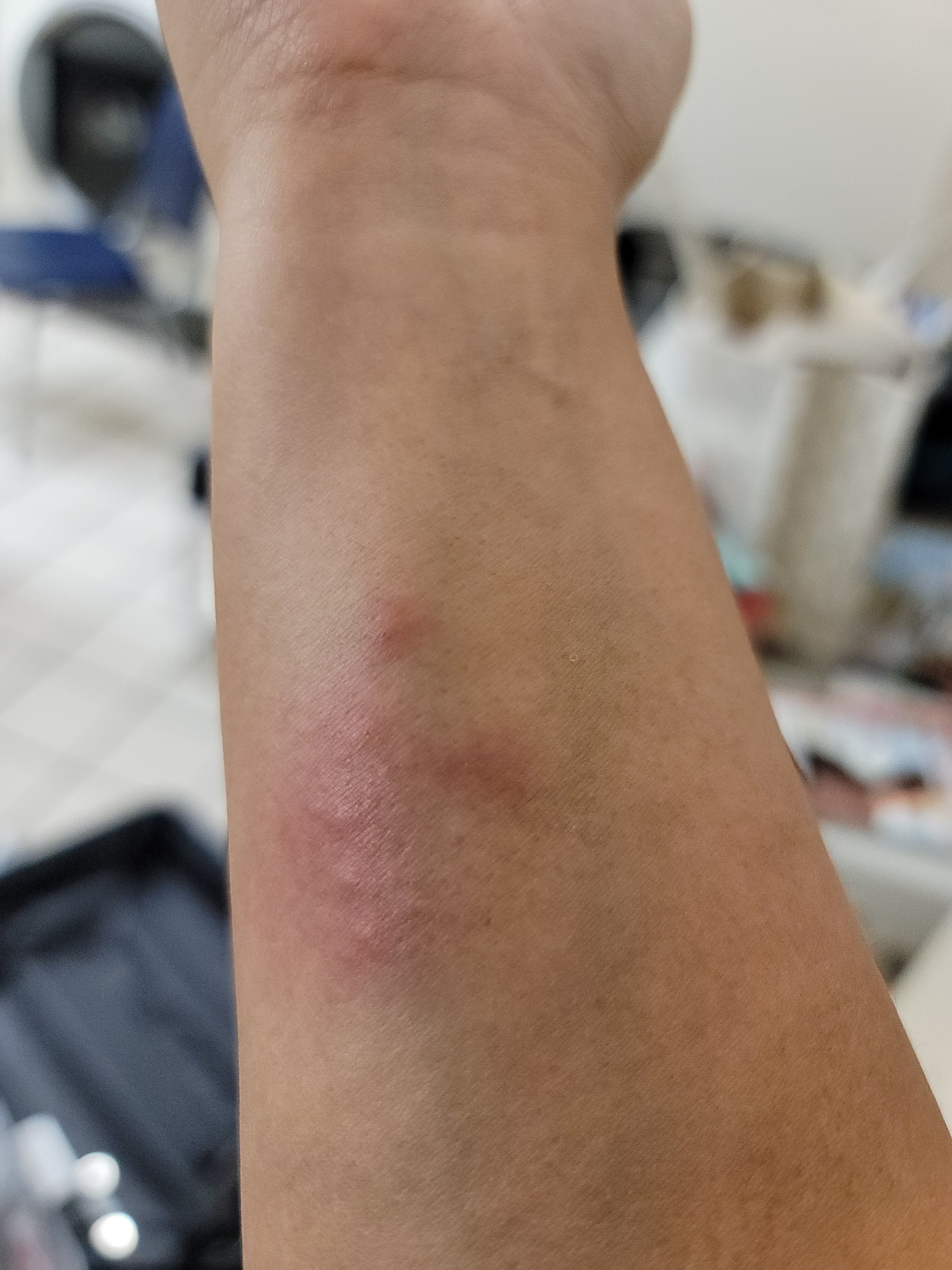 La Quinta Inn & Suites by Wyndham Tumwater - Olympia-官方