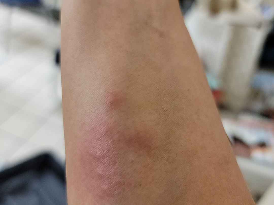 La Quinta Inn & Suites by Wyndham Tumwater - Olympia主图