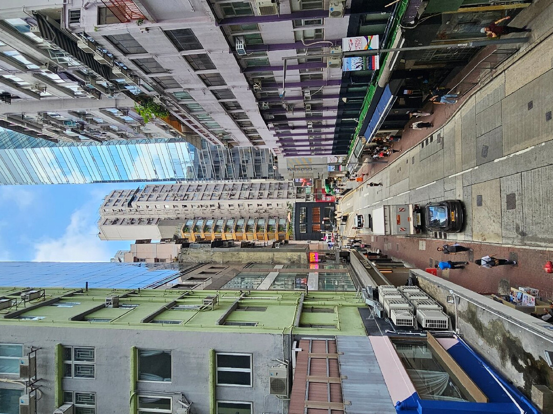 Memory Tours (Licensed Agent)-香港必去景点