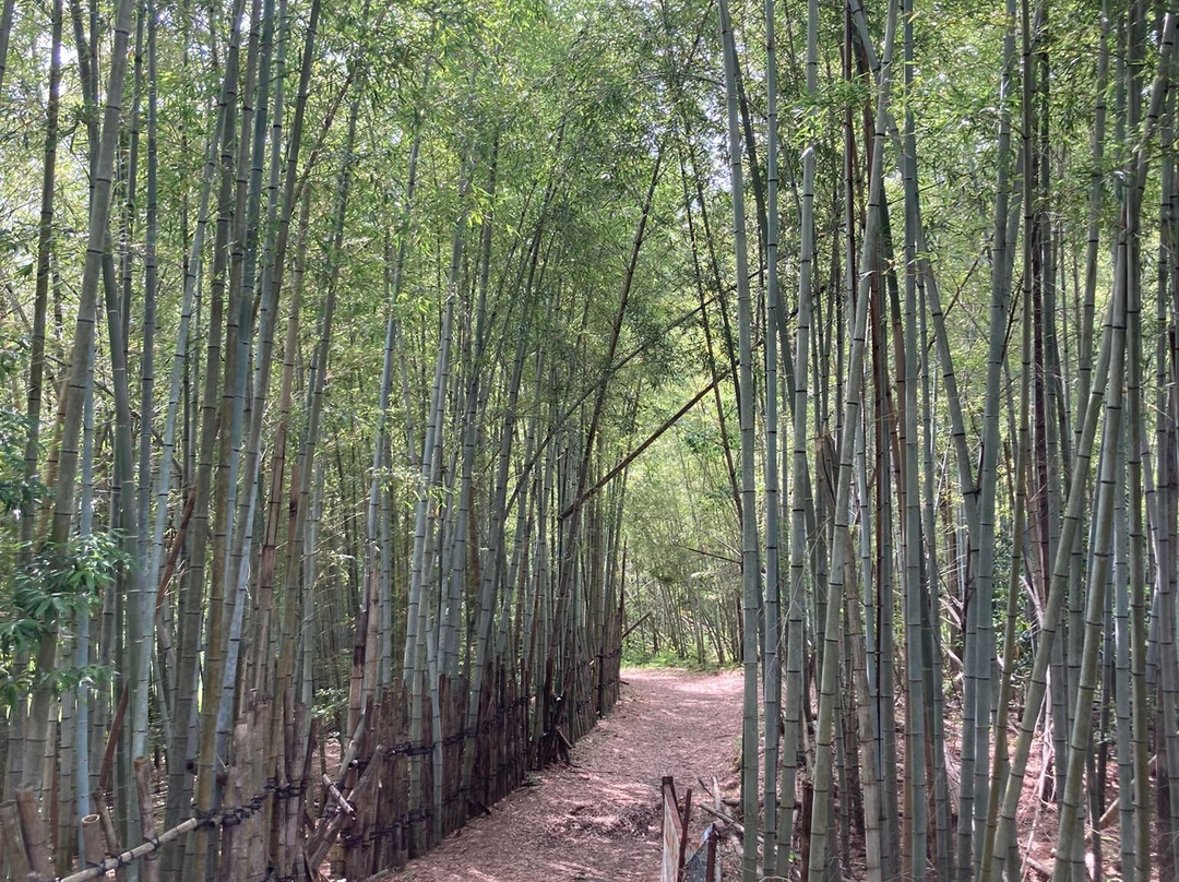 Astuto Cycling Center GS Astuto-安中市必去景点