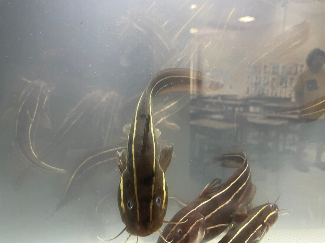 Muroto Haiko Aquarium-室户市必去景点