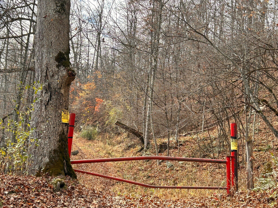 Fletcher Creek Covered Bridge-Clarksburg必去景点