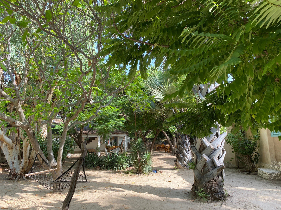 Ecolodge Le Bazouk du Saloum主图