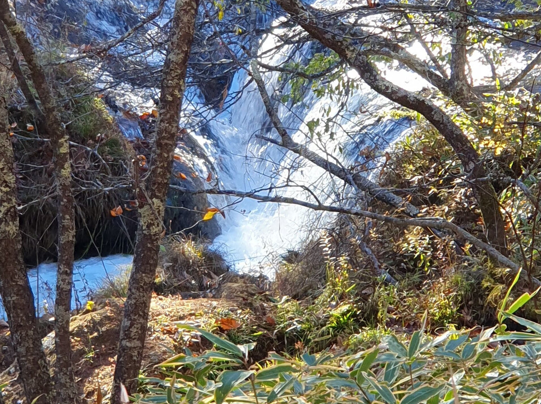 Senjogahara Field-日光市必去景点