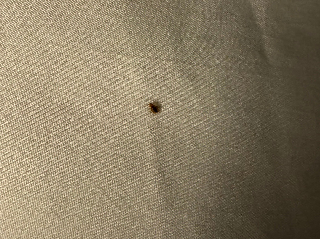 Quality Inn Shenandoah Valley主图